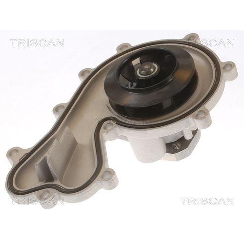 Wasserpumpe, Motork&uuml;hlung TRISCAN 8600 29096 f&uuml;r AUDI PORSCHE