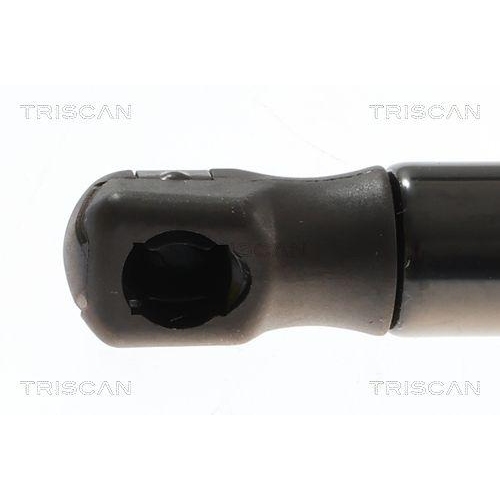 Gasfeder, Koffer-/Laderaum TRISCAN 8710 69229 für SUZUKI, hinten links