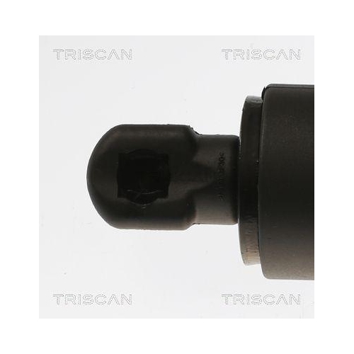 Gasfeder, Koffer-/Laderaum TRISCAN 8710 81200 für TESLA, hinten links