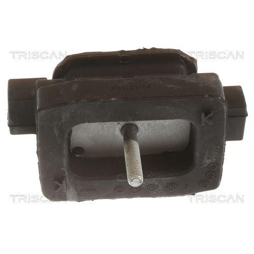 Lagerung, Automatikgetriebe TRISCAN 8505 11204 für BMW, Hinterachse beidseitig