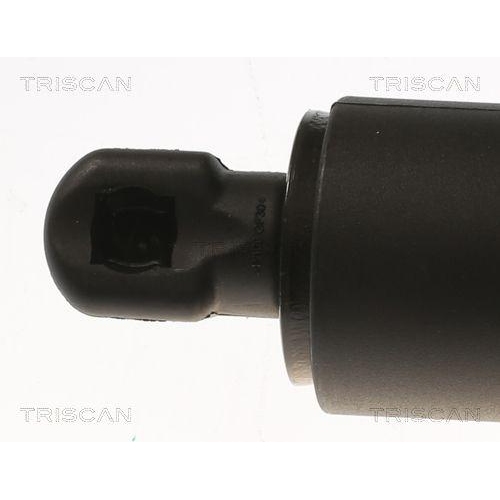 Gasfeder, Koffer-/Laderaum TRISCAN 8710 81202 für TESLA