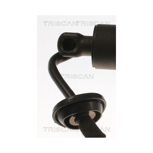 Gasfeder, Koffer-/Laderaum TRISCAN 8710 81203 f&uuml;r TESLA, links