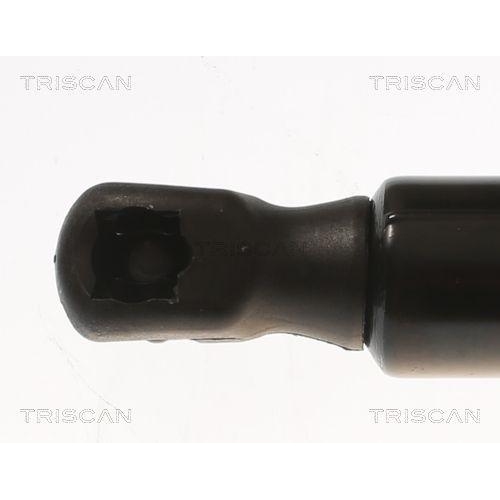 Gasfeder, Koffer-/Laderaum TRISCAN 8710 81204 f&uuml;r TESLA, hinten rechts