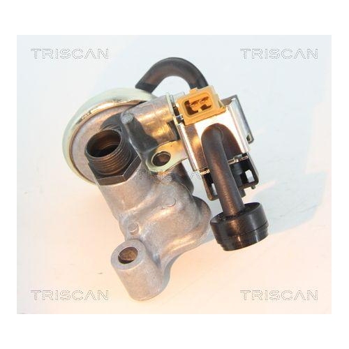 AGR-Ventil TRISCAN 8813 23205 f&uuml;r MERCEDES-BENZ