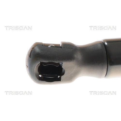 Gasfeder, Koffer-/Laderaum TRISCAN 8710 81210 f&uuml;r TESLA, hinten links