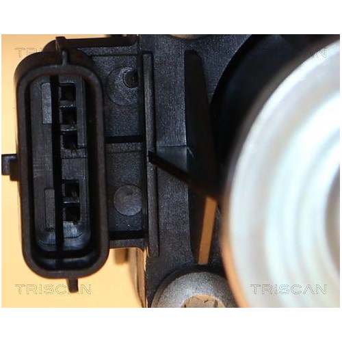 AGR-Ventil TRISCAN 8813 25040 f&uuml;r NISSAN RENAULT DACIA, oben, unten