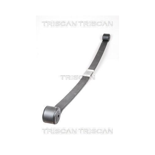 Federnpaket TRISCAN 8765 16039 f&uuml;r FORD, Hinterachse