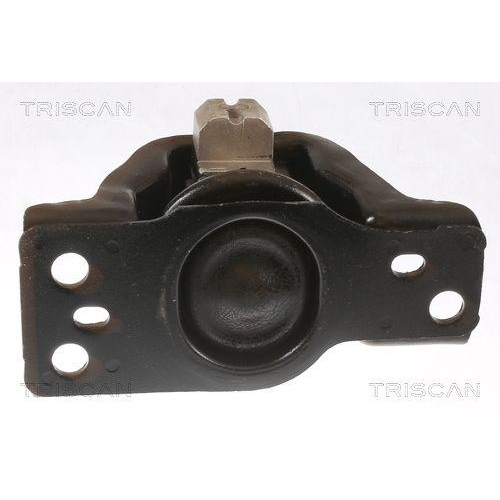 Lagerung, Motor TRISCAN 8505 14100 f&uuml;r NISSAN, rechts, vorne