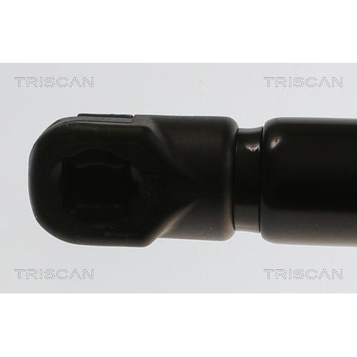 Gasfeder, Koffer-/Laderaum TRISCAN 8710 82001 für SAIC MOTOR