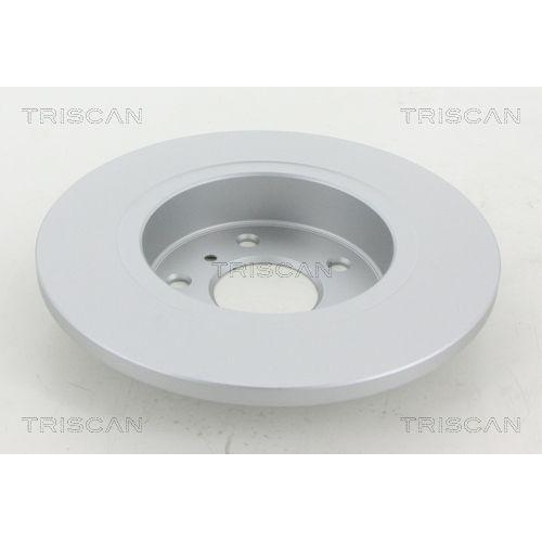 TRISCAN 8120 101087C 2 St&uuml;ck Bremsscheiben f&uuml;r NISSAN RENAULT, Hinterachse