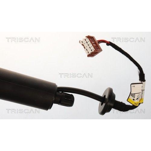 TRISCAN 8710 14302 Gasfeder, Koffer-/Laderaum f&uuml;r NISSAN, rechts