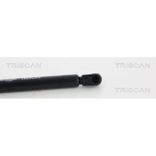 Gasfeder, Koffer-/Laderaum TRISCAN 8710 16250 für FORD, hinten links