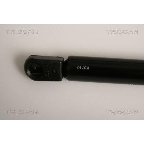 Gasfeder, Koffer-/Laderaum TRISCAN 8710 16254 f&uuml;r FORD, hinten links