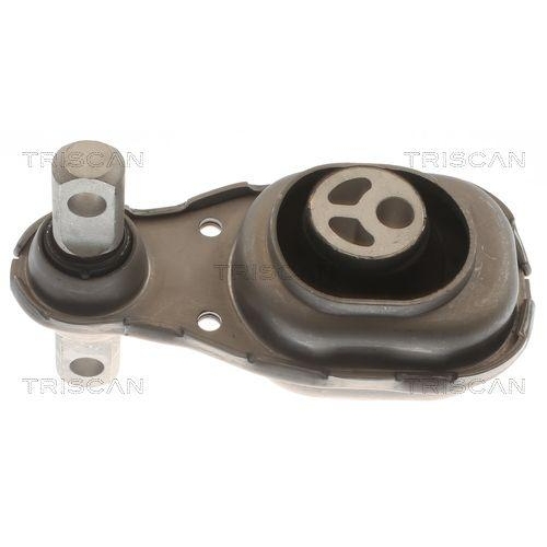 Lagerung, Motor TRISCAN 8505 23106 f&uuml;r MERCEDES-BENZ, hinten, unten