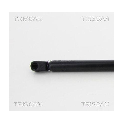 Gasfeder, Koffer-/Laderaum TRISCAN 8710 16255 f&uuml;r FORD