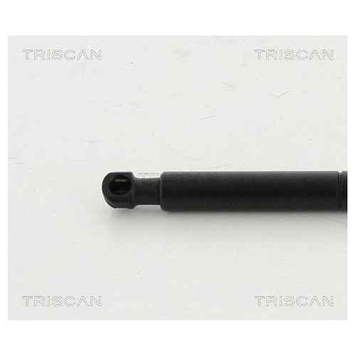Gasfeder, Koffer-/Laderaum TRISCAN 8710 16256 f&uuml;r FORD
