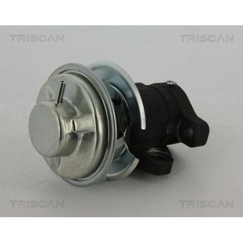 AGR-Ventil TRISCAN 8813 43201 f&uuml;r HYUNDAI