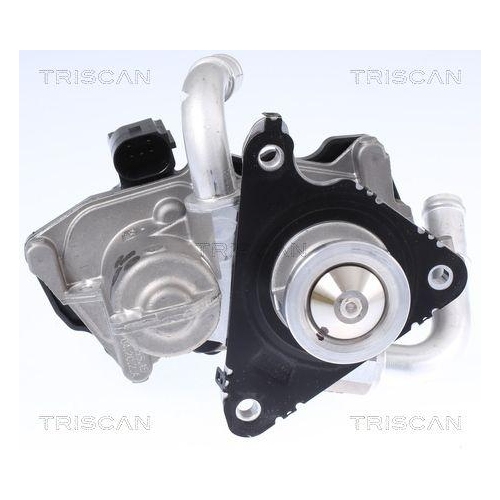 AGR-Ventil TRISCAN 8813 29058 f&uuml;r AUDI SEAT SKODA VW