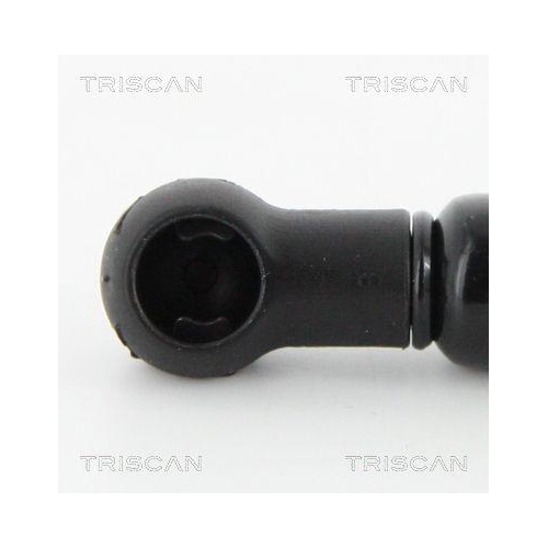 Gasfeder, Koffer-/Laderaum TRISCAN 8710 16257 f&uuml;r FORD, hinten links