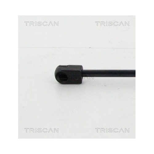 Gasfeder, Koffer-/Laderaum TRISCAN 8710 16260 f&uuml;r FORD, hinten links