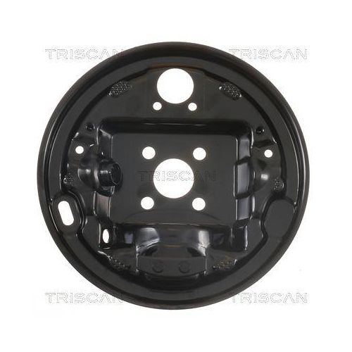 Spritzblech, Bremsscheibe TRISCAN 8125 25201 f&uuml;r RENAULT, Hinterachse links