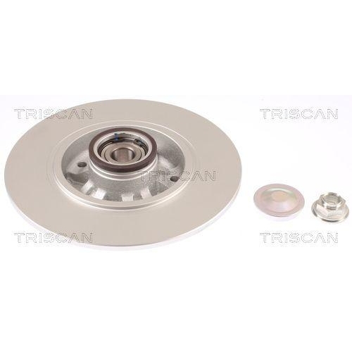 TRISCAN 8120 25184C 2 St&uuml;ck Bremsscheiben f&uuml;r RENAULT, Hinterachse