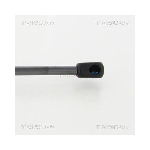Gasfeder, Koffer-/Laderaum TRISCAN 8710 16268 für FORD, hinten links