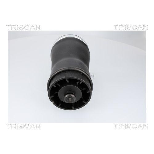 Luftfeder, Fahrwerk TRISCAN 8720 11204 f&uuml;r BMW, Hinterachse rechts