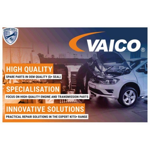 VAICO Stange/Strebe, Radaufh&auml;ngung links und rechts Hinterachse , oben V10-2642 + V10-2643 f&uuml;r VW