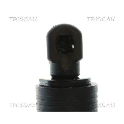 TRISCAN 8710 84302 Gasfeder, Koffer-/Laderaum f&uuml;r BYD, rechts