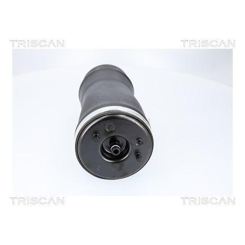 Luftfeder, Fahrwerk TRISCAN 8720 11205 f&uuml;r BMW, Hinterachse links