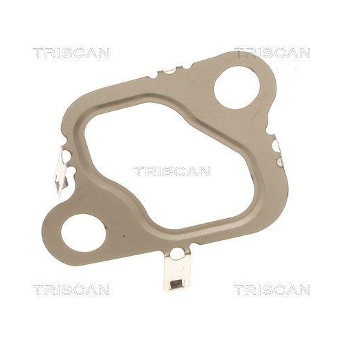 TRISCAN 8813 99197 Dichtung f&uuml;r FIAT NISSAN OPEL RENAULT
