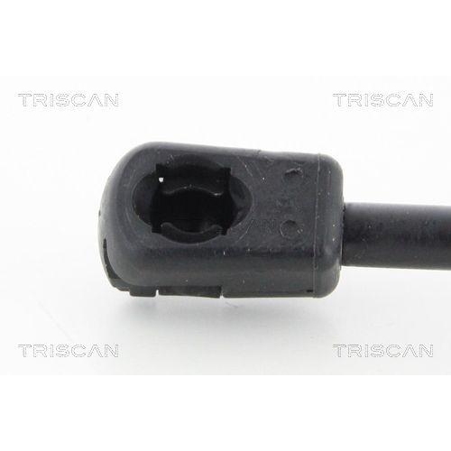 Gasfeder, Koffer-/Laderaum TRISCAN 8710 292100 für VW, hinten links