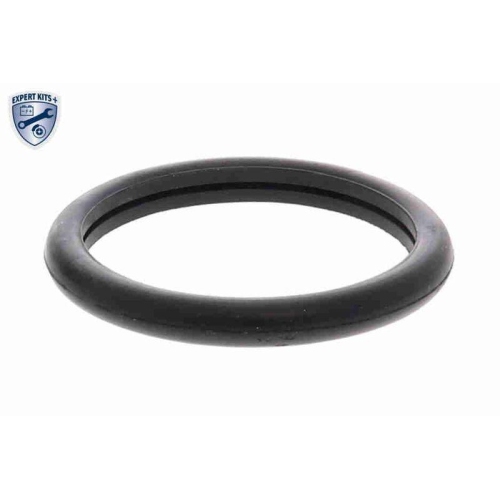 Thermostat, K&uuml;hlmittel VEMO V25-99-1707 EXPERT KITS + f&uuml;r AUSTIN CHRYSLER DODGE