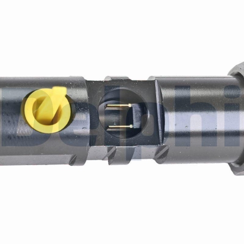 DELPHI R01101D-12B1 Einspritzventil f&uuml;r FORD