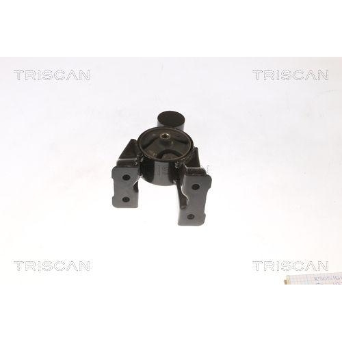 Lagerung, Motor TRISCAN 8505 43102 f&uuml;r HYUNDAI KIA, hinten