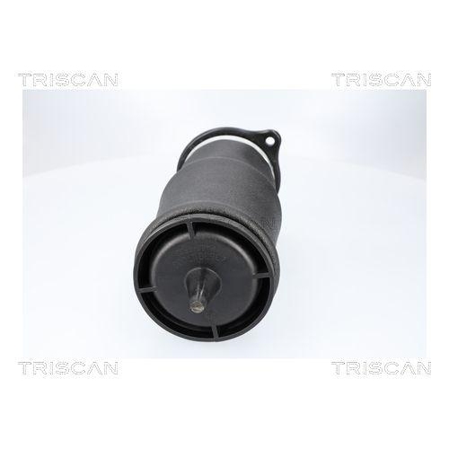 Luftfeder, Fahrwerk TRISCAN 8720 23210 f&uuml;r MERCEDES-BENZ, Hinterachse beidseitig