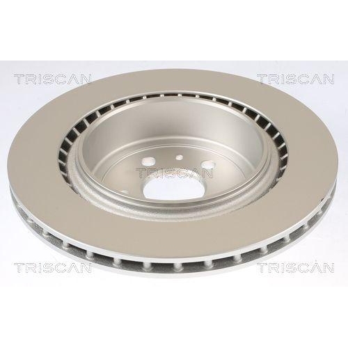 TRISCAN 8120 81002C 2 St&uuml;ck Bremsscheiben f&uuml;r TESLA, Hinterachse