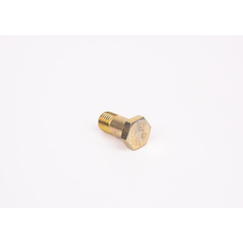 Schraube BOSCH F 002 D13 579 für ALFA ROMEO BMW CITROËN FIAT FORD IVECO LANCIA