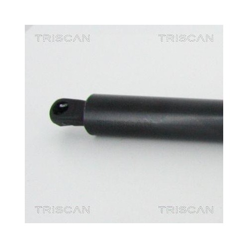 Gasfeder, Koffer-/Laderaum TRISCAN 8710 29214 f&uuml;r VW