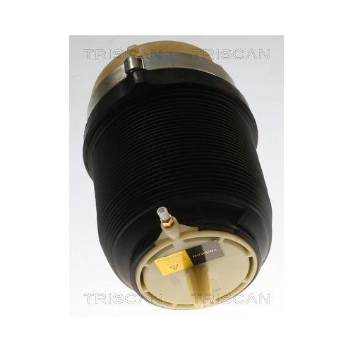 Luftfeder, Fahrwerk TRISCAN 8720 29202 f&uuml;r AUDI, Hinterachse beidseitig