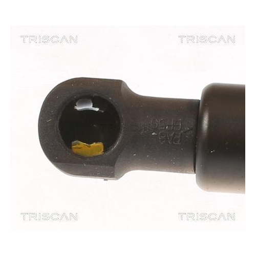 Gasfeder, Koffer-/Laderaum TRISCAN 8710 24293 f&uuml;r OPEL VAUXHALL, hinten links