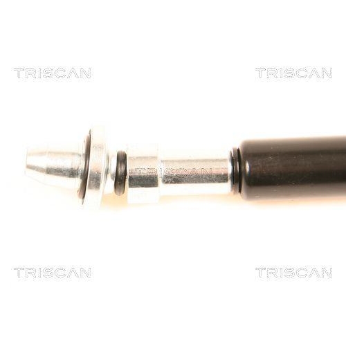 Gasfeder, Heckscheibe TRISCAN 8710 38217 f&uuml;r CITRO&Euml;N, links, rechts