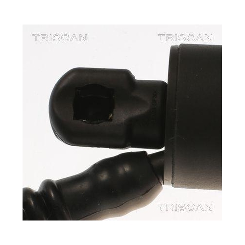 Gasfeder, Koffer-/Laderaum TRISCAN 8710 11308 f&uuml;r BMW, hinten rechts
