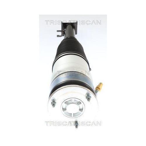 Luftfederbein TRISCAN 8720 81105 f&uuml;r TESLA, Vorderachse beidseitig