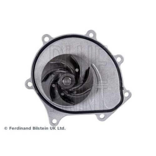 Wasserpumpe, Motorkühlung BLUE PRINT ADJ139119 für MG ROVER LAND ROVER
