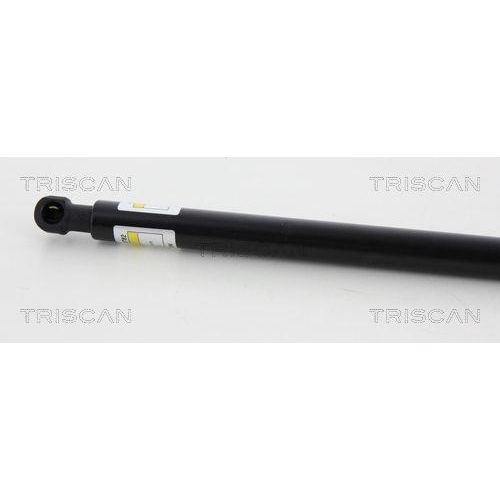 Gasfeder, Heckscheibe TRISCAN 8710 38230 f&uuml;r CITRO&Euml;N