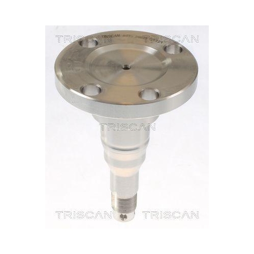 Radnabe TRISCAN 8535 29021 für AUDI SEAT VW, Hinterachse