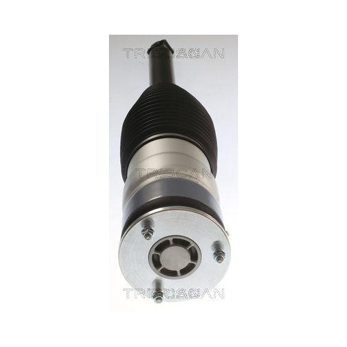 Luftfeder, Fahrwerk TRISCAN 8720 81201 f&uuml;r TESLA, Hinterachse links