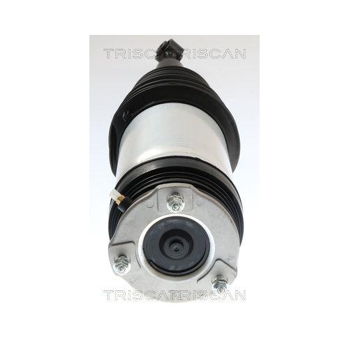 Luftfeder, Fahrwerk TRISCAN 8720 81203 f&uuml;r TESLA, Hinterachse beidseitig